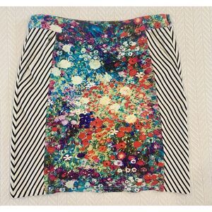 Women's Sz 6 Tabitha Anthropologie Meadow Floral & Striped Pencil Skirt Lined LN